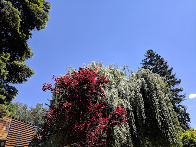 Cafe "BOX" / Кафе "БОКС" - Гастрономия и хотелиерство