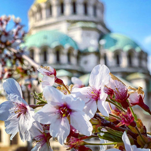 София център, pl. "Sveti Aleksandar Nevski" 1А, 1504 София