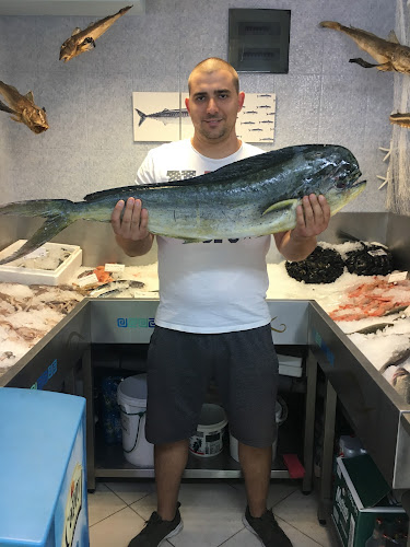 ж.к. Лозенец, ул. „Димитър Хаджикоцев“ 4Б, 1421 София