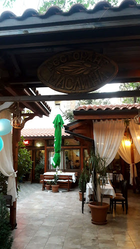 Маслина - Гастрономия и хотелиерство