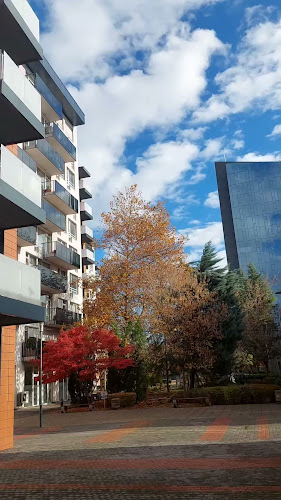 Comentarii opinii despre Планет клуб