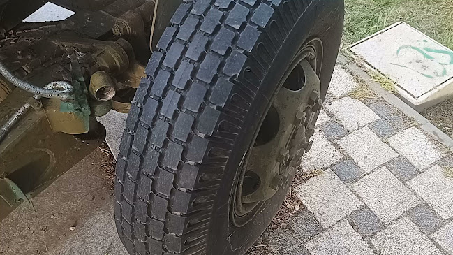 Младост - Гастрономия и хотелиерство