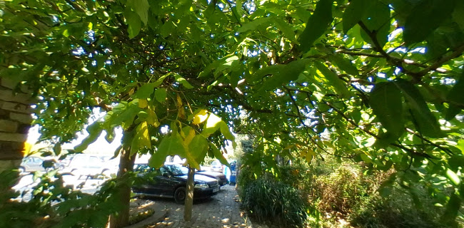 Ресторант "Родина" - Гастрономия и хотелиерство