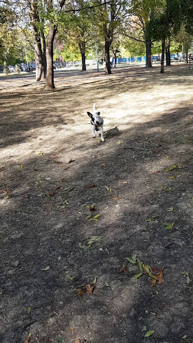 Механа Дървеното