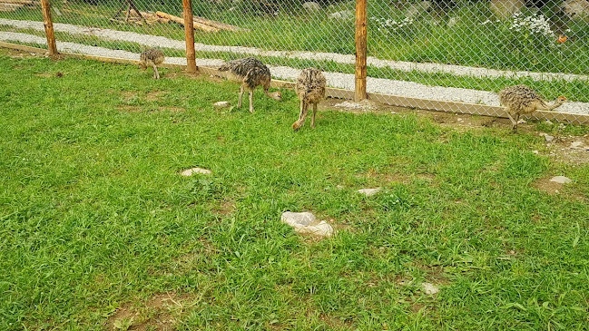 Райски кът "Християна" - Гастрономия и хотелиерство