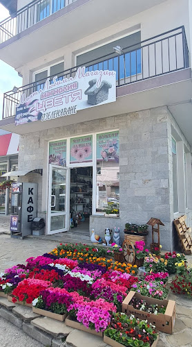 Цветарски Магазин Магнолия