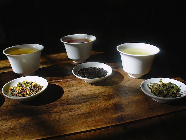 София център, ул. „Петър Парчевич“ 62, 1000 София