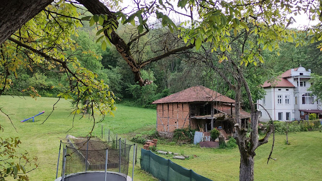 Правешки ханове - Правец