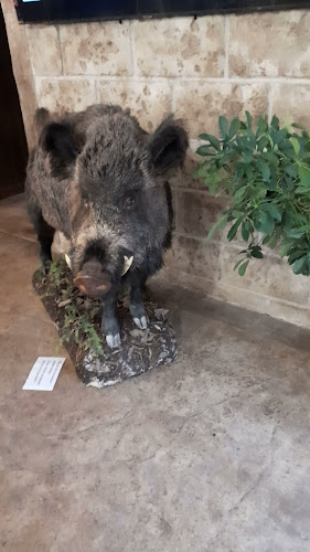 Ловна среща Търговище - Гастрономия и хотелиерство