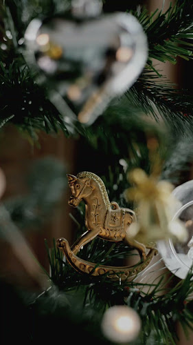 Манастирски РидПриморски, ул. „Робърт Скот“, 9007 Варна