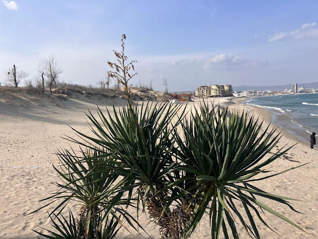 Нов Град, ул. „Хан Крум“ 49, 8230 Несебър