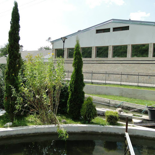 Comentarii opinii despre Ресторант Бяла река