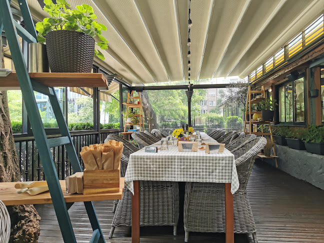 Comentarii opinii despre Carne