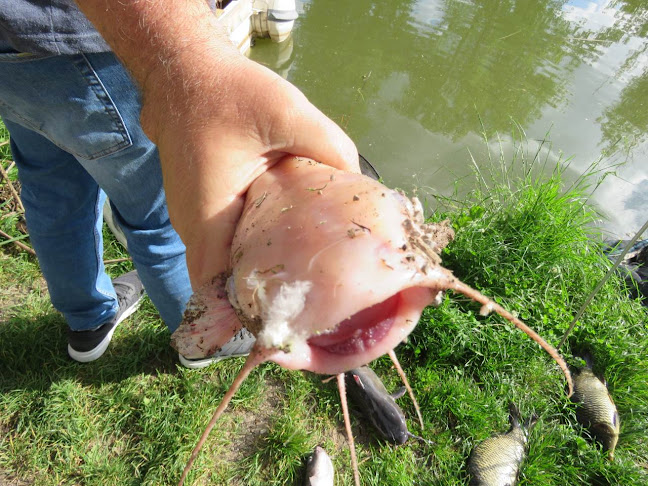 ул. „Градомански път“, 1320 Банкя