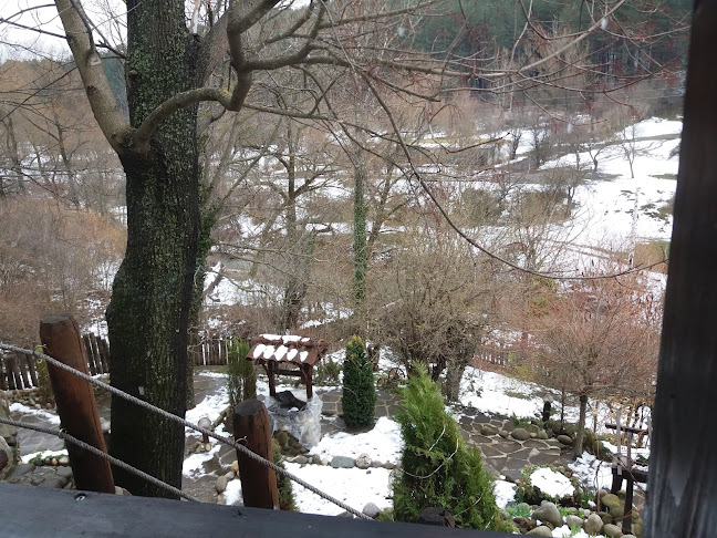 Comentarii opinii despre Таверна Елпида