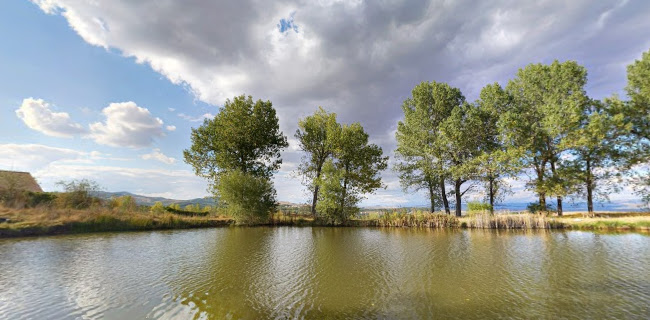 Opinii despre Язовир Михайлово în Банкя - Гастрономия и хотелиерство