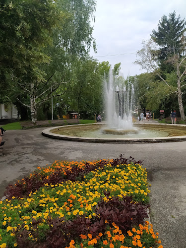 Център, ул. Димитър Благоев 7, 4180 Хисаря