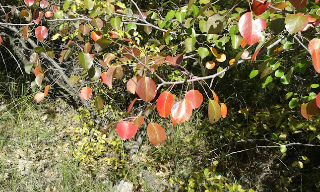местност Инцараки, 8256 Свети Влас