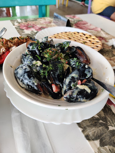 Каравана Чайка