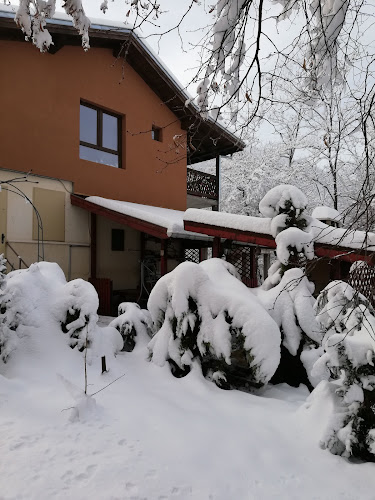 Ресторант Шик - Правец