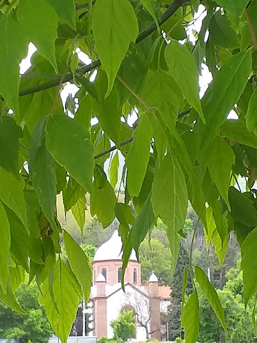 Карпузица, ул. „Евлия Челеби“ 100, 1619 София