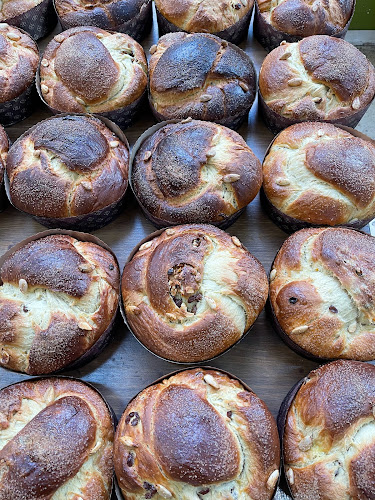 16, ул. „Оборище“ Str, 1504 София