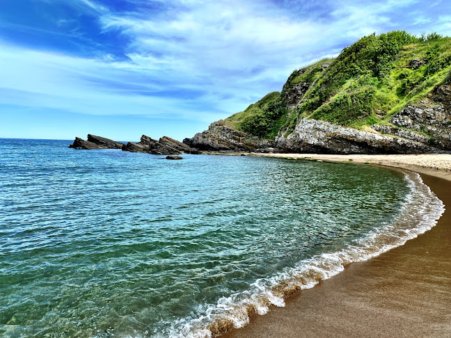 Пицария "Куцата Медуза" - Синеморец