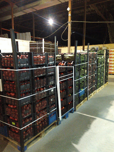 Opinii despre Зеленчукова борса în Варна - Гастрономия и хотелиерство