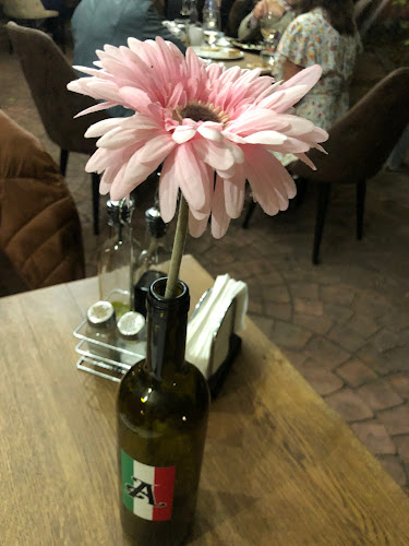 Comentarii opinii despre Pizzeria-Ristorante Antonio