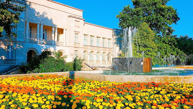 Comentarii opinii despre Кафе "Фонтана"