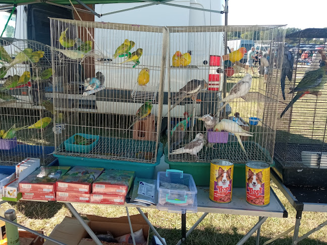 Comentarii opinii despre Битак