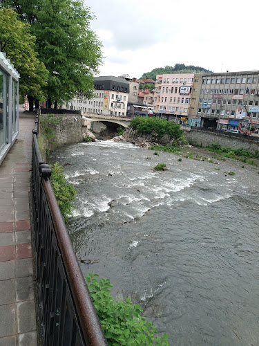 Comentarii opinii despre Механа "Рачо Ковача"