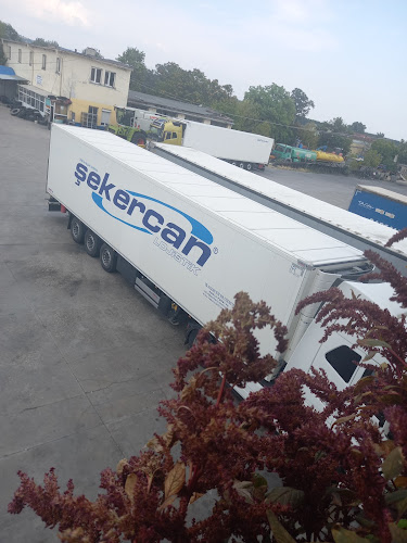 Comentarii opinii despre BG.İLYAS TIR PARKI