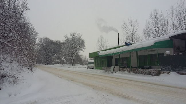 3009, 2161 Правец