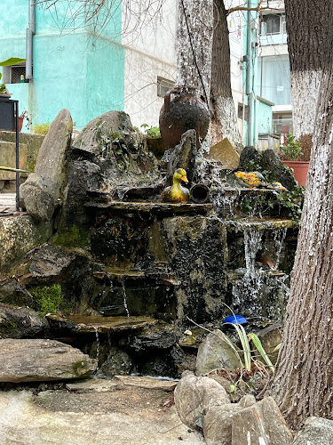 Comentarii opinii despre ресторант - градина "Свети Георги"