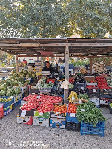 Център, ул. „Григор Начoвич“ 2, 5250 Свищов