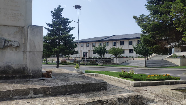 Comentarii opinii despre Cafe Club Svilena Bar& Dinner