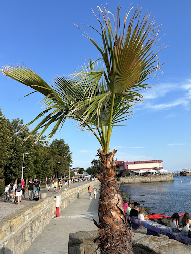 Comentarii opinii despre Varka