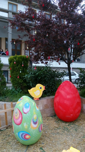 Comentarii opinii despre BURGER NIZZA | Бургери в Петрич | Вкусни бургери