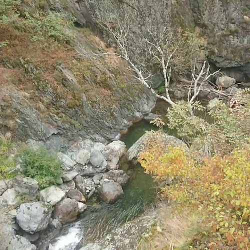 Comentarii opinii despre На реката „Джъмп“