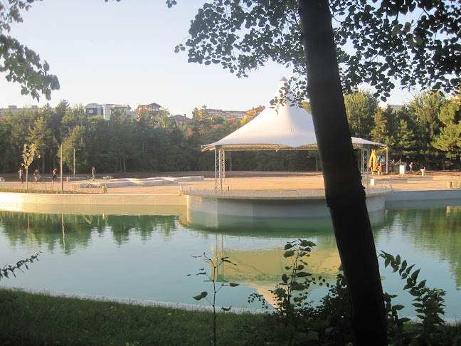 Комплекс „Лебед“