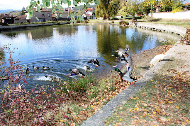 Comentarii opinii despre ИвАнита