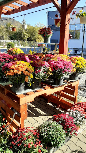 Градински център Габрово Easy Garden - Гастрономия и хотелиерство