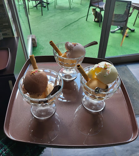 улица Димитър Благоев 10, 6900 Крумовград