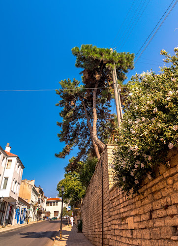 Седемте лули - Балчик