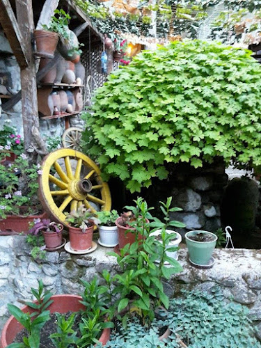 Comentarii opinii despre Роженски хан