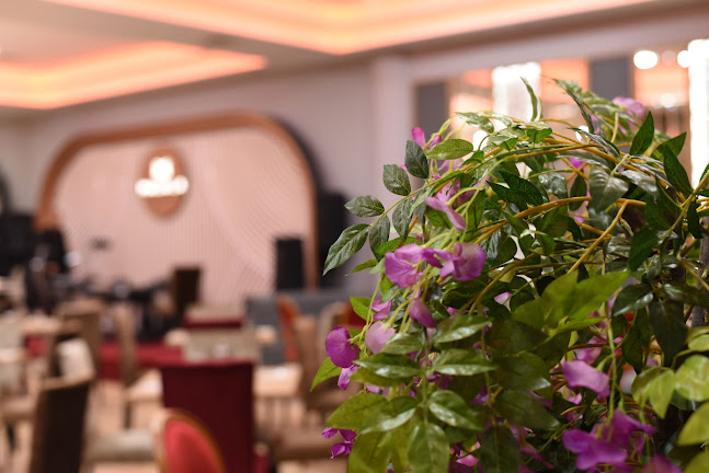 Comentarii opinii despre Masala Balkan & Oriental Restaurant