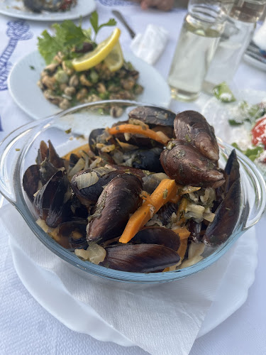 Comentarii opinii despre Мидено стопанство Дълбока