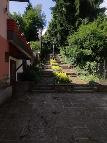 Дървеното - Тетевен