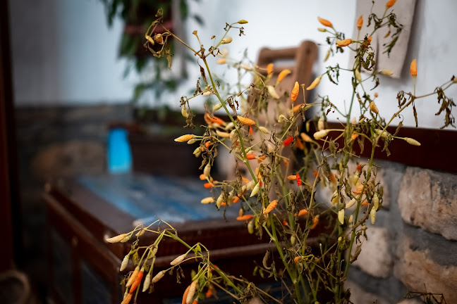 Градски, бул. „Васил Левски“ 37, 7200 Разград